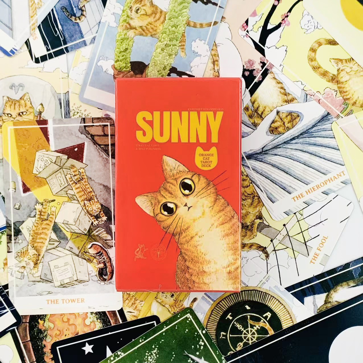 Sunny Orange Cat Tarot Deck A  - Party Games Sunny recension och pris