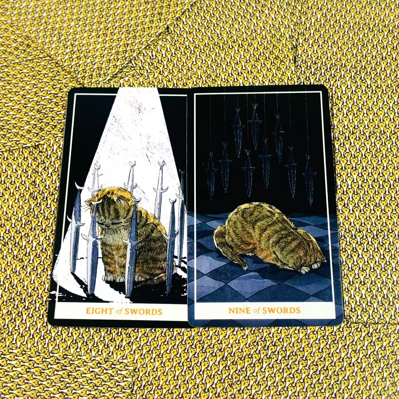 Sunny Orange Cat Tarot Deck A  - Party Games Sunny recension och pris